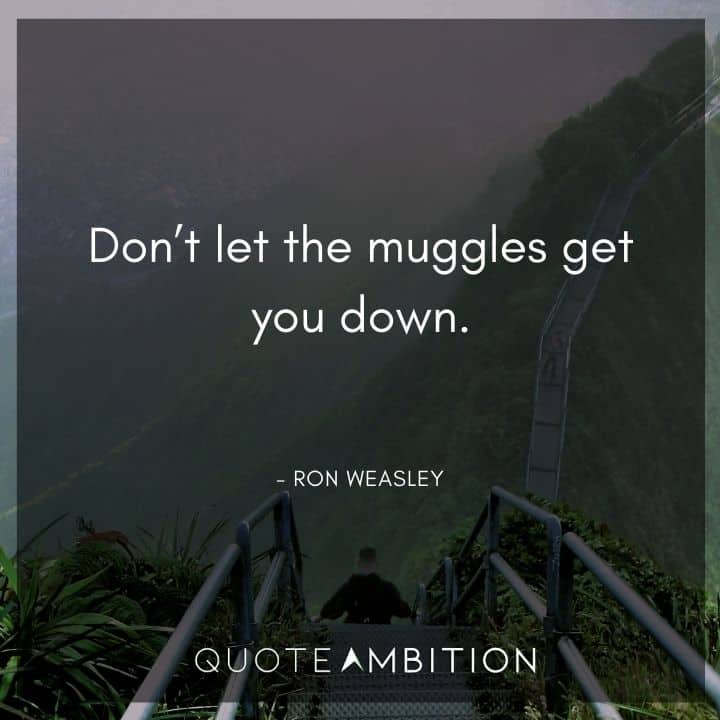 Harry Potter Quote - Don't let the muggles get you down.