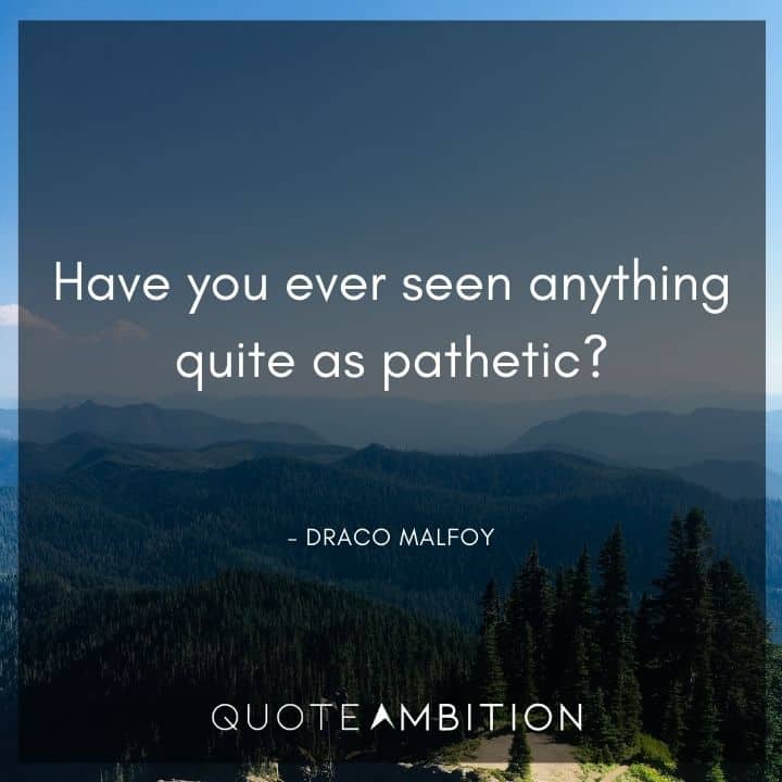 Harry Potter Quote - Have you ever seen anything quite as pathetic?