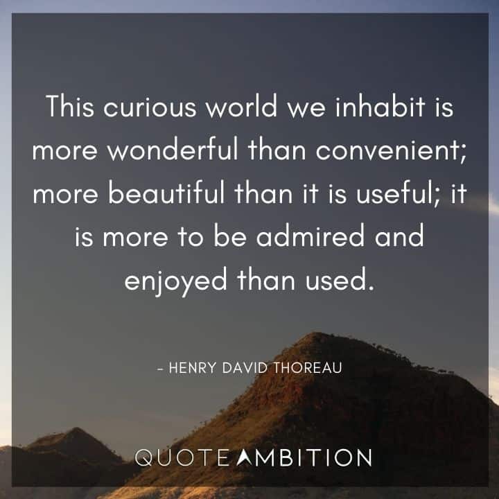 Henry David Thoreau Quote - This curious world we inhabit is more wonderful than convenient; more beautiful than it is useful; it is more to be admired and enjoyed than used.