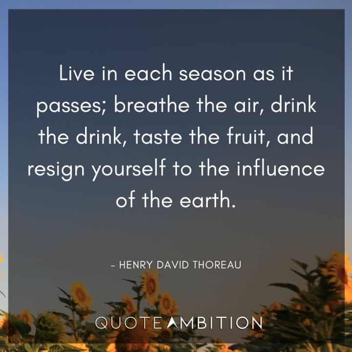 Henry David Thoreau Quote - Live in each season as it passes; breathe the air, drink the drink, taste the fruit, and resign yourself to the influence of the earth.