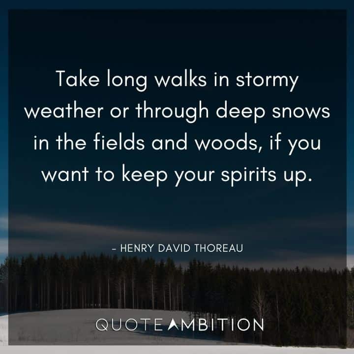 Henry David Thoreau Quote - Take long walks in stormy weather or through deep snows in the fields and woods, if you want to keep your spirits up.