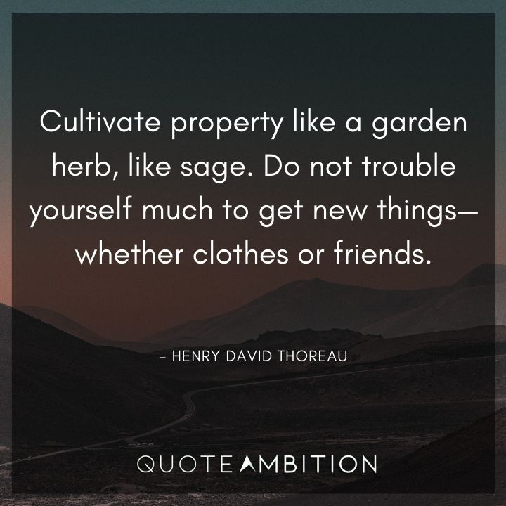 Henry David Thoreau Quote - Do not trouble yourself much to get new things - whether clothes or friends.