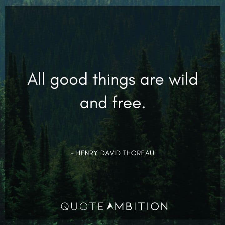Henry David Thoreau Quote - All good things are wild and free.