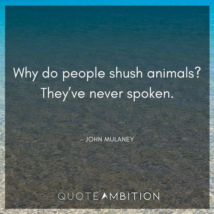 John Mulaney Quote - Why do people shush animals? They've never spoken.