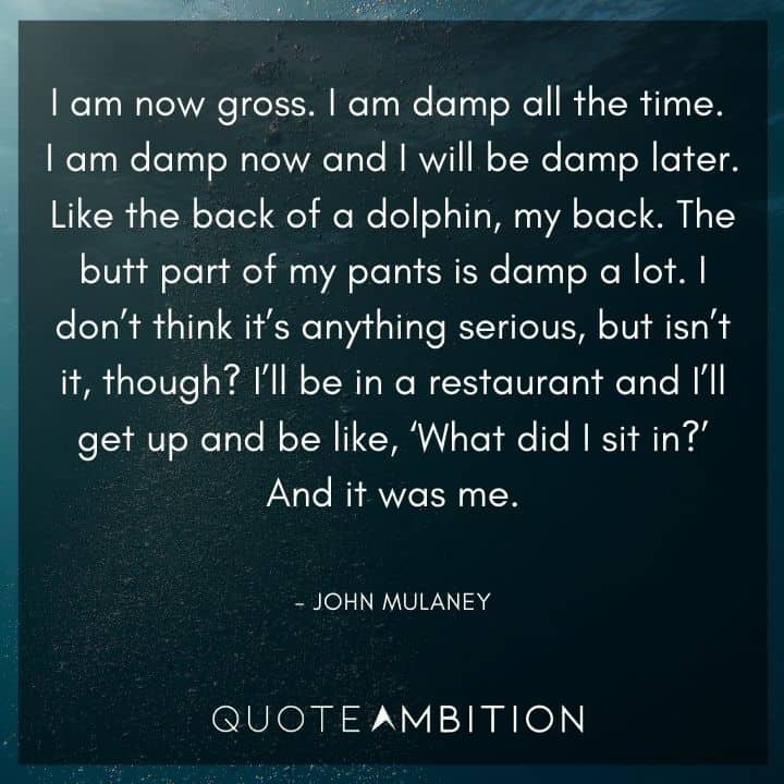 John Mulaney Quote - I am now gross. I am damp all the time. I am damp now and I will be damp later.
