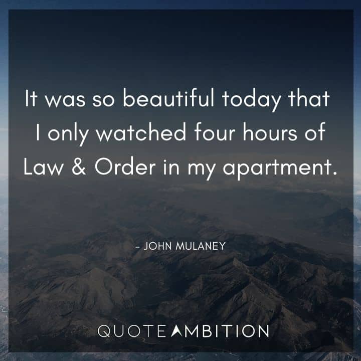 John Mulaney Quote - It was so beautiful today that I only watched four hours of Law & Order in my apartment.