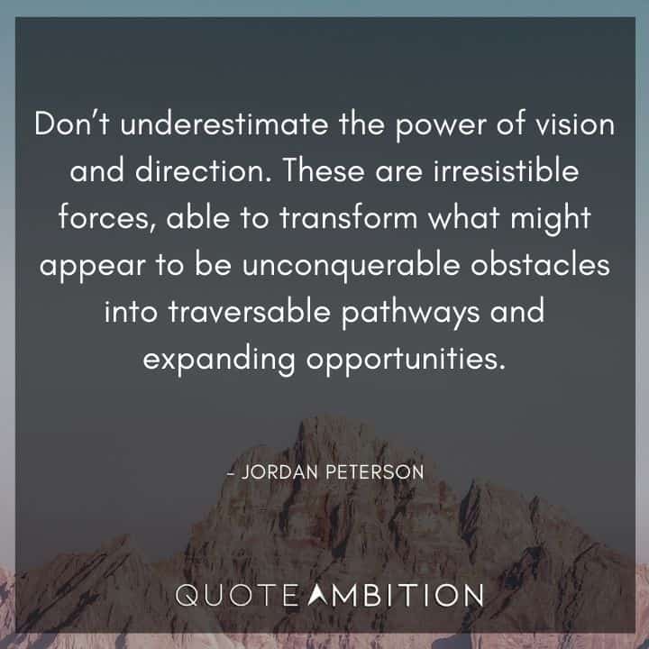 Jordan Peterson Quote - Don't underestimate the power of vision and direction. 