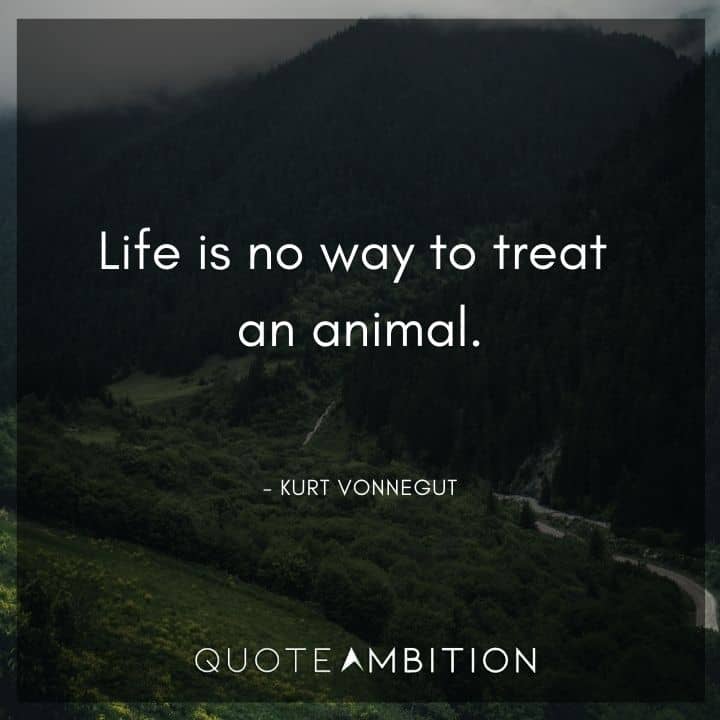 Kurt Vonnegut Quote - Life is no way to treat an animal.