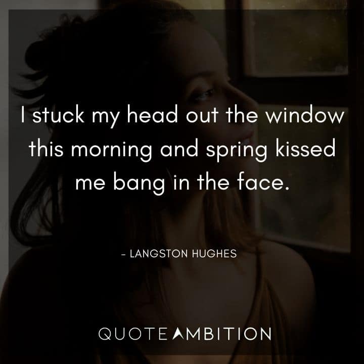 Langston Hughes Quote - I stuck my head out the window this morning and spring kissed me bang in the face.