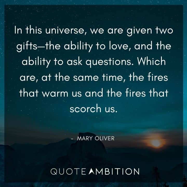 Mary Oliver Quote - In this universe, we are given two gifts - the ability to love, and the ability to ask questions. 
