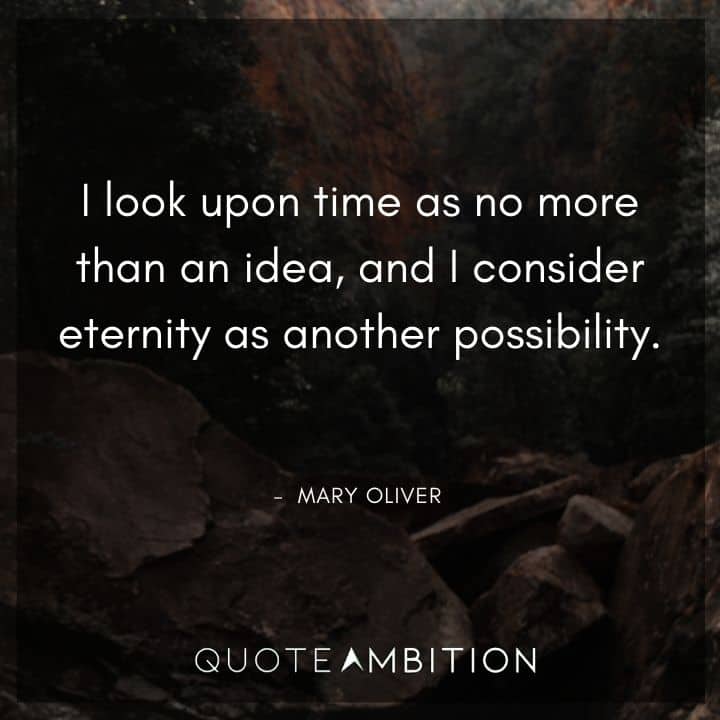 Mary Oliver Quote - I look upon time as no more than an idea, and I consider eternity as another possibility.
