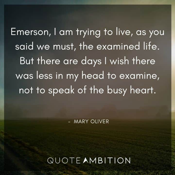 Mary Oliver Quote - Emerson, I am trying to live, as you said we must, the examined life.