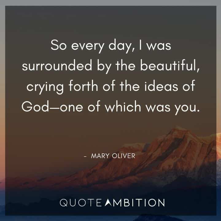 Mary Oliver Quote - So every day, I was surrounded by the beautiful, crying forth of the ideas of God - one of which was you.