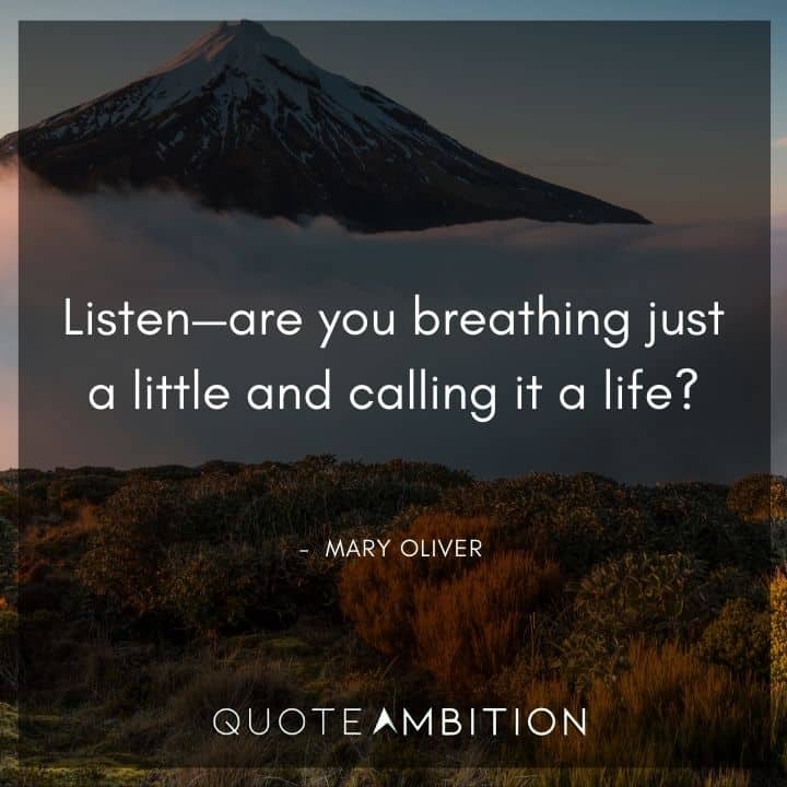 Mary Oliver Quote - Listen - are you breathing just a little and calling it a life?