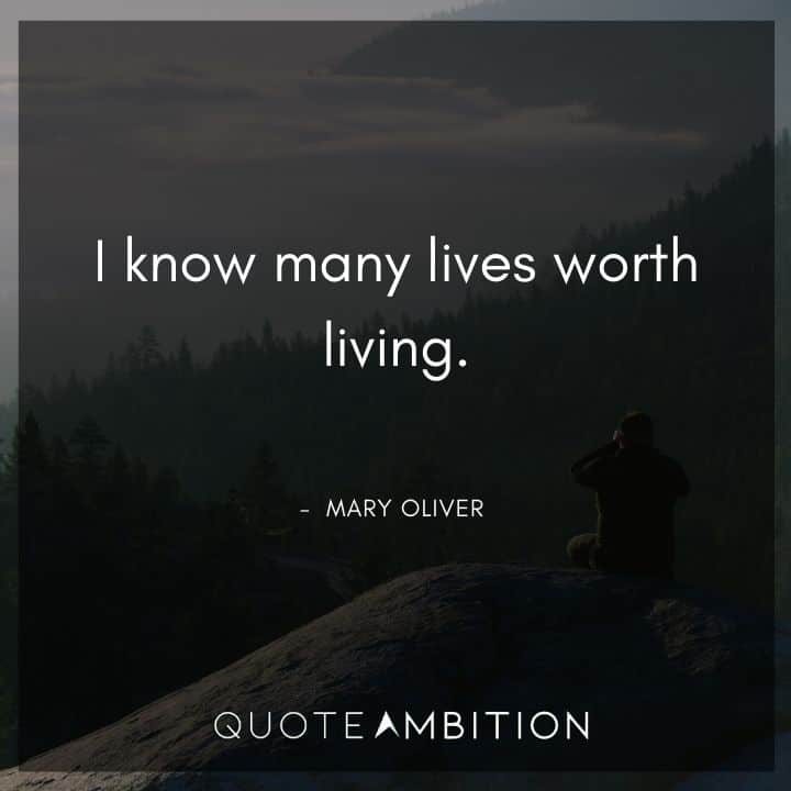 Mary Oliver Quote - I know many lives worth living.