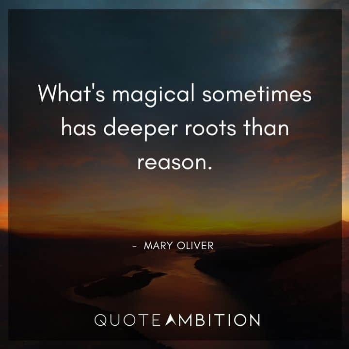 Mary Oliver Quote - What's magical sometimes has deeper roots than reason.