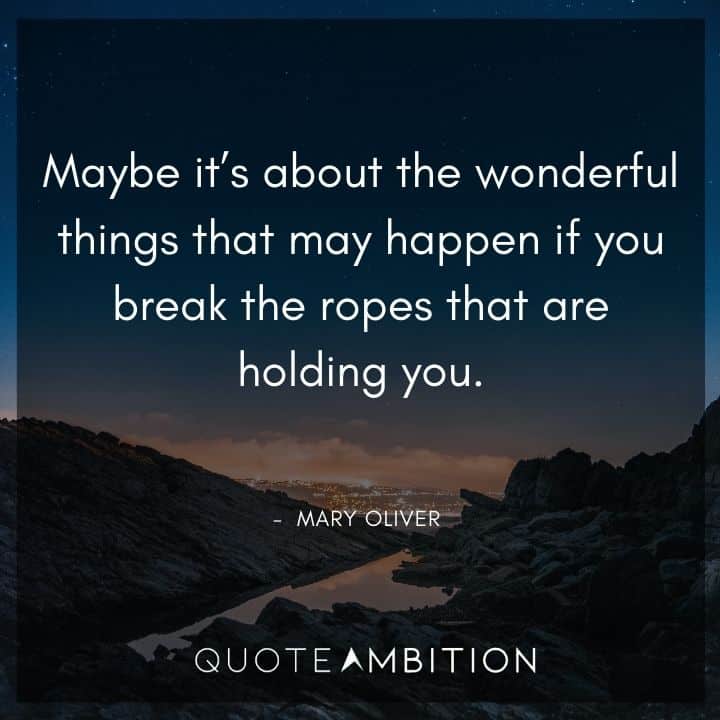 Mary Oliver Quote - Maybe it's about the wonderful things that may happen if you break the ropes that are holding you.