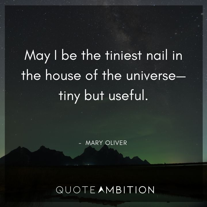 Mary Oliver Quote - May I be the tiniest nail in the house of the universe - tiny but useful.