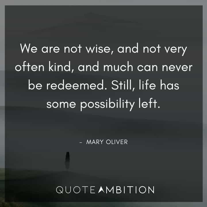 Mary Oliver Quote - We are not wise, and not very often kind; and much can never be redeemed.