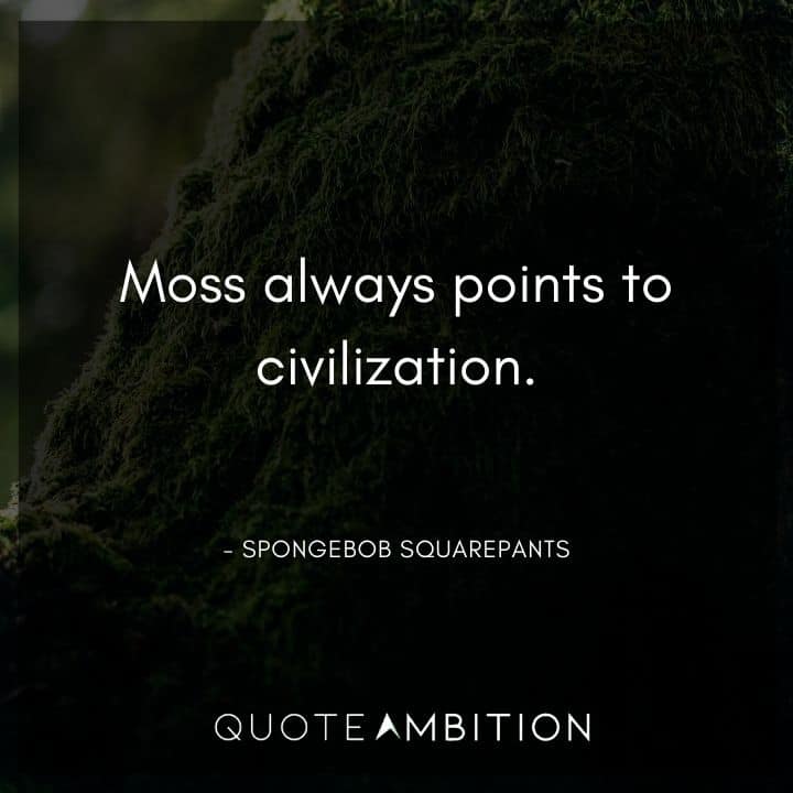 Spongebob Quote - Moss always points to civilization.