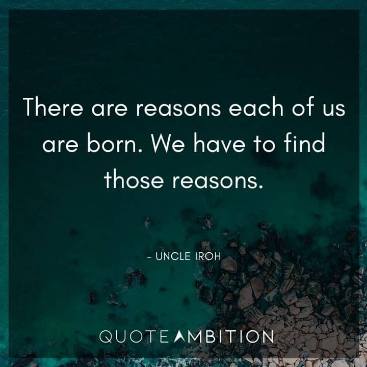 Uncle Iroh Quote - There are reasons each of us are born. We have to find those reasons.