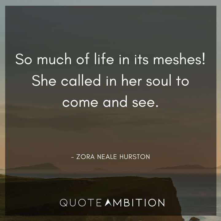 Zora Neale Hurston Quote - So much of life in its meshes! She called in her soul to come and see.