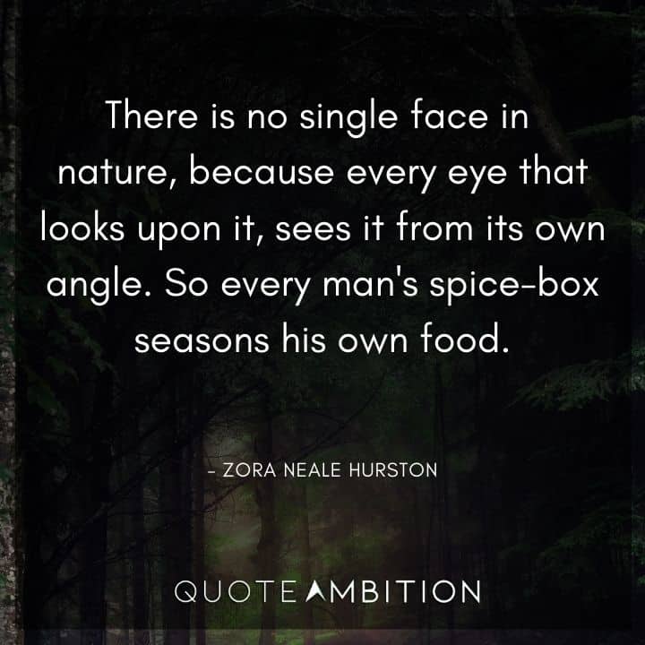 Zora Neale Hurston Quote - There is no single face in nature, because every eye that looks upon it, sees it from its own angle. So every man's spice-box seasons his own food.