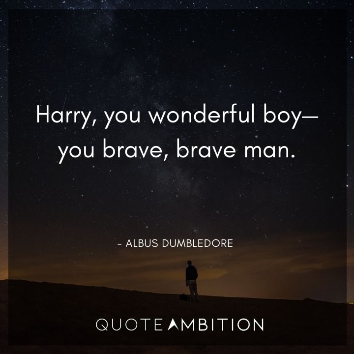 Albus Dumbledore Quote - Harry, you wonderful boy - you brave, brave man.