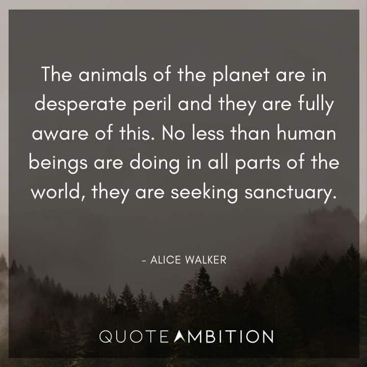Alice Walker Quote - No less than human beings are doing in all parts of the world, they are seeking sanctuary.