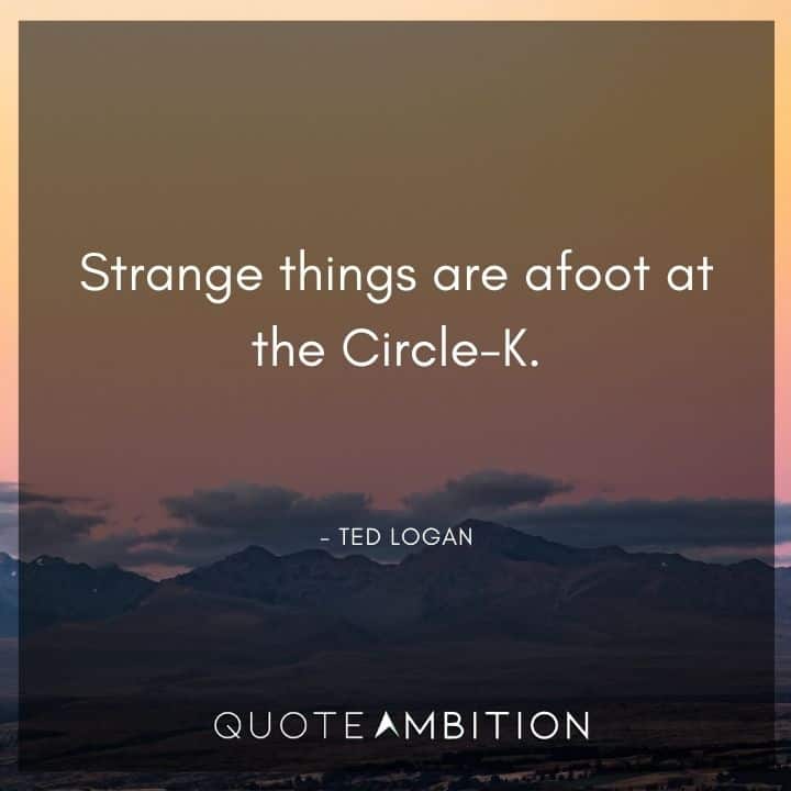 Bill and Ted Quote - Strange things are afoot at the Circle-K.