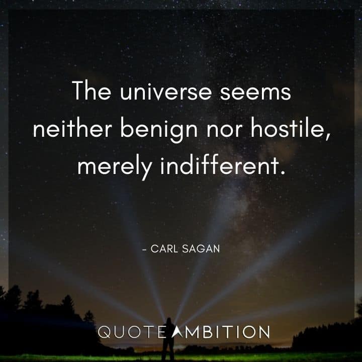 Carl Sagan Quote - The universe seems neither benign nor hostile, merely indifferent.