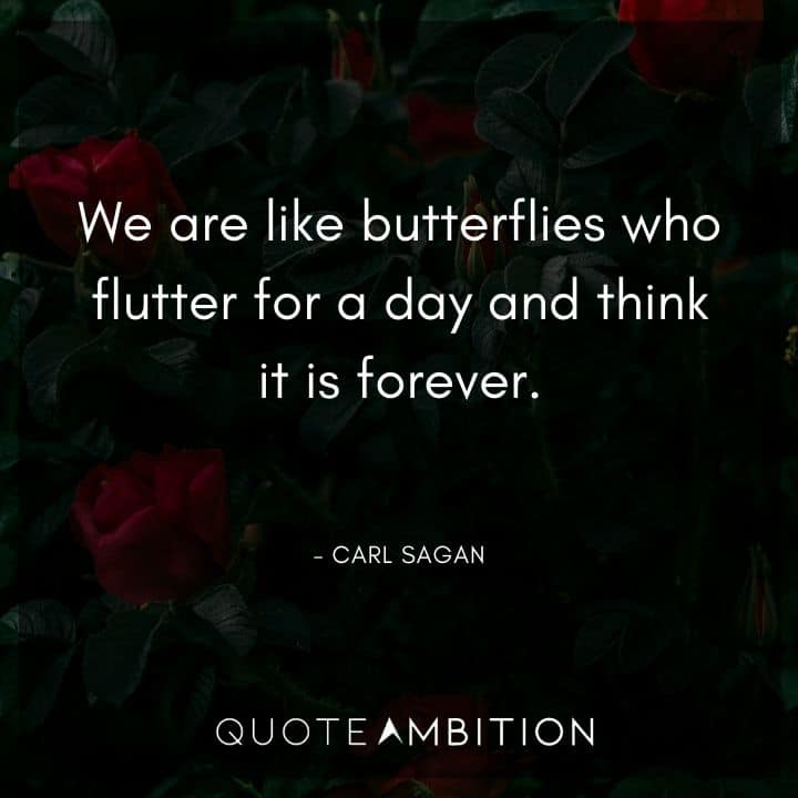 Carl Sagan Quote - We are like butterflies who flutter for a day and think it is forever.