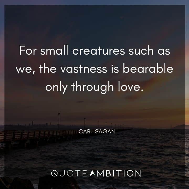 Carl Sagan Quote - For small creatures such as we, the vastness is bearable only through love.