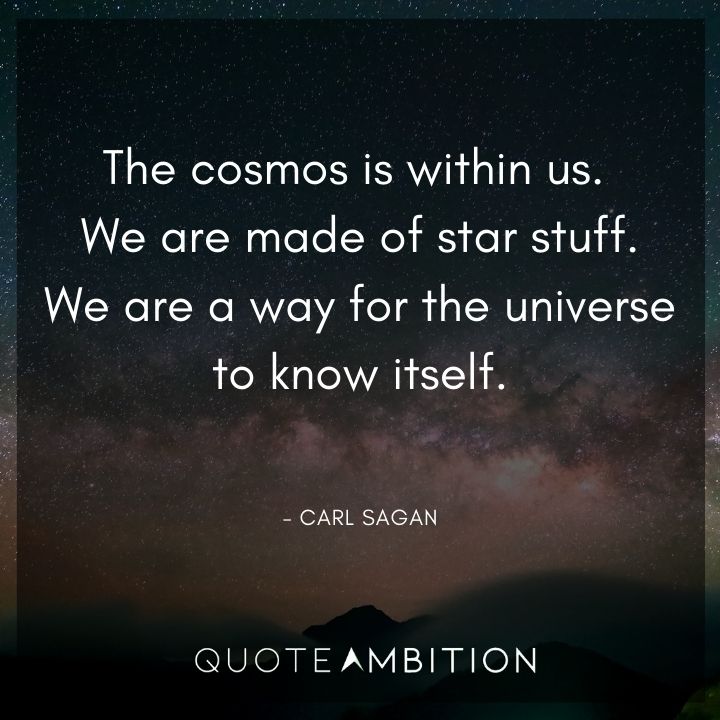 Carl Sagan Quote - The cosmos is within us. We are made of star stuff. 