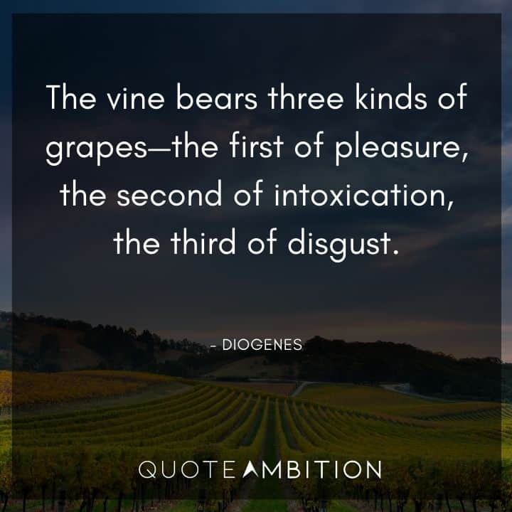 Diogenes Quote - The vine bears three kinds of grapes - the first of pleasure, the second of intoxication, the third of disgust.