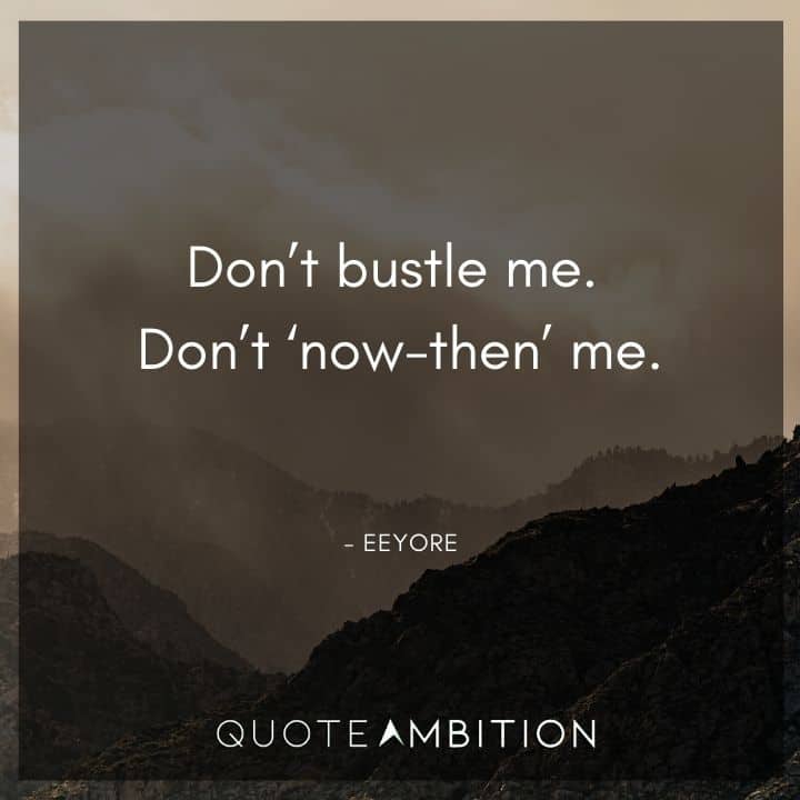 Eeyore Quote - Don't bustle me. Don't 'now-then' me.