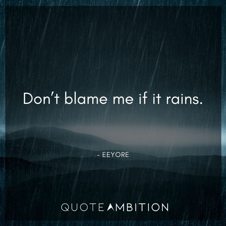 Eeyore Quote - Don't blame me if it rains.