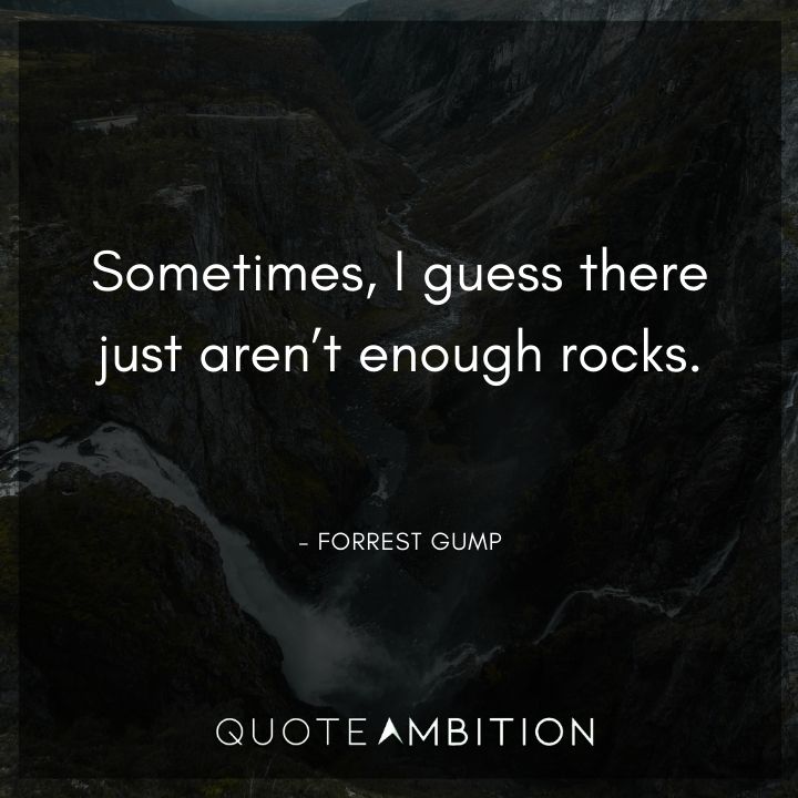 Forrest Gump Quote - Sometimes, I guess there just aren't enough rocks.