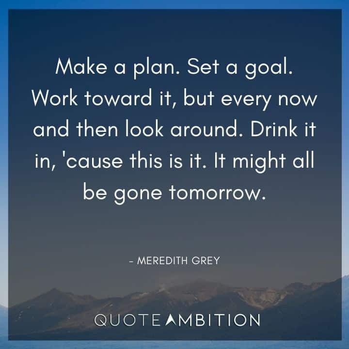 Grey's Anatomy Quote - Make a plan. Set a goal. Work toward it, but every now and then look around.