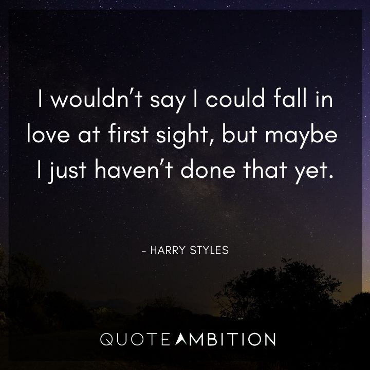 Harry Styles Quote - I wouldn't say I could fall in love at first sight. 