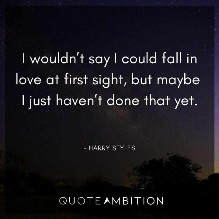 Harry Styles Quote - I wouldn't say I could fall in love at first sight.