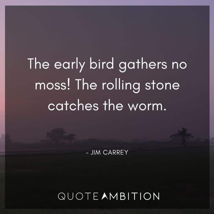 Jim Carrey Quote - The early bird gathers no moss! The rolling stone catches the worm.