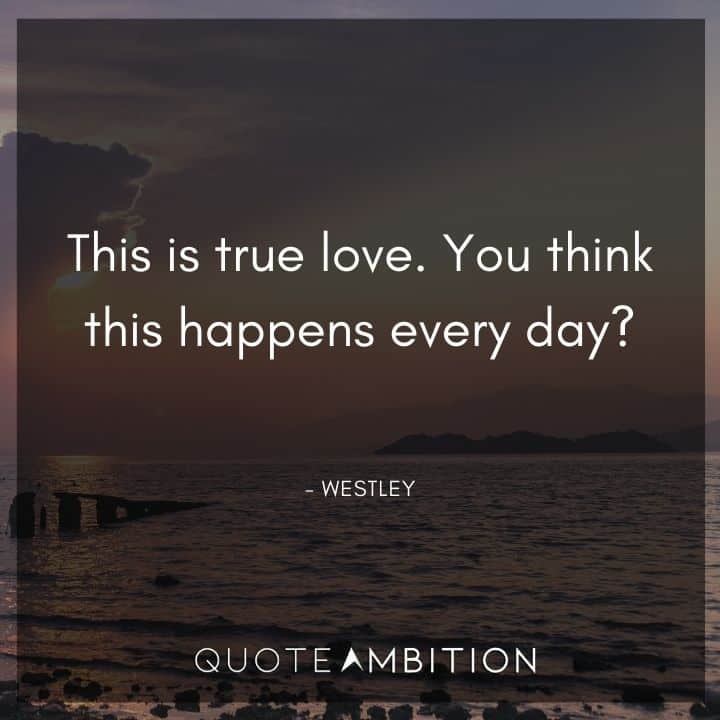 70 The Princess Bride Quotes (2021 Update)