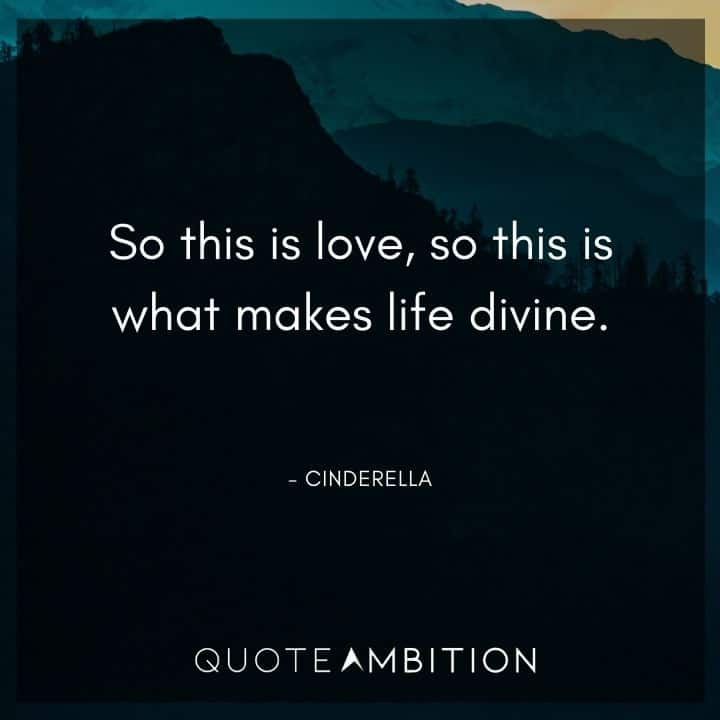 Wedding Quote - So this is love, so this is what makes life divine.