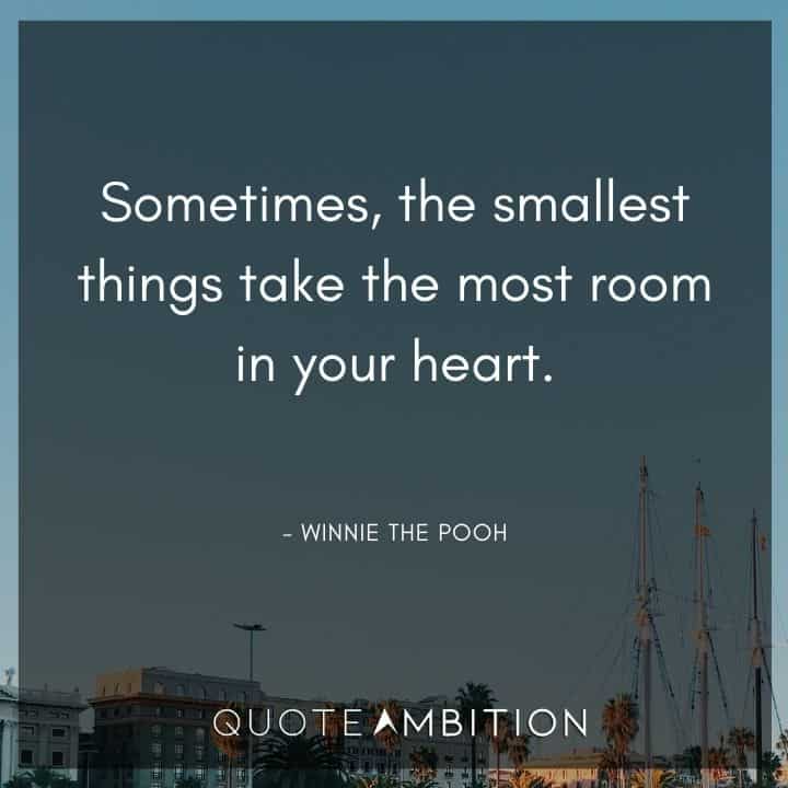 Winnie The Pooh Quote - Sometimes, the smallest things take the most room in your heart. 