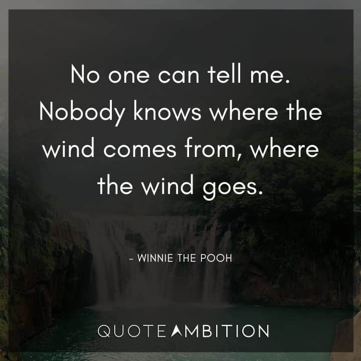 Winnie The Pooh Quote - No one can tell me. Nobody knows where the wind comes from, where the wind goes.