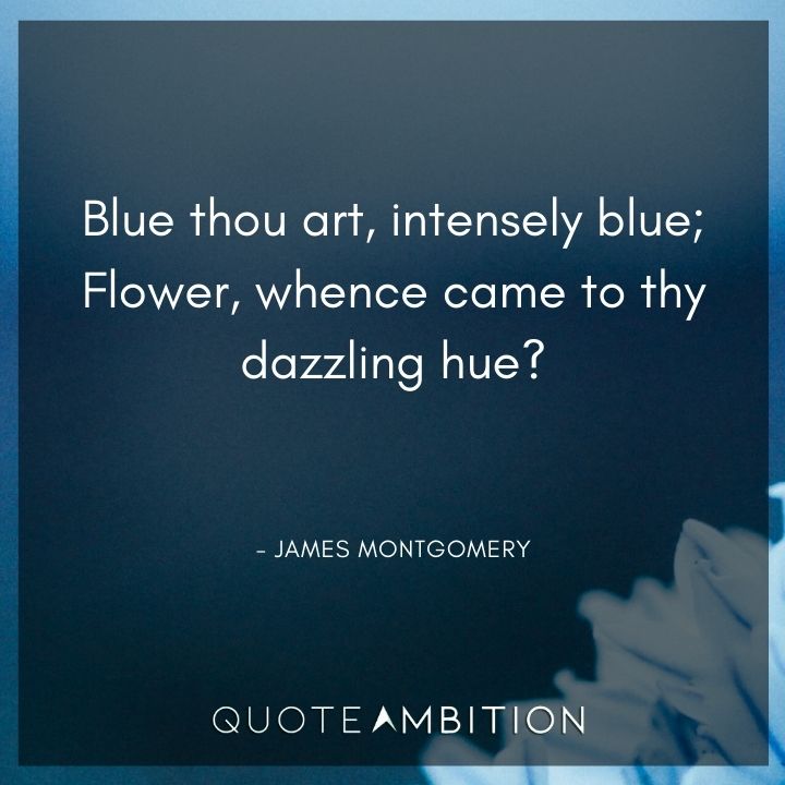 Blue Quotes - Blue thou art, intensely blue; Flower, whence came to thy dazzling hue?