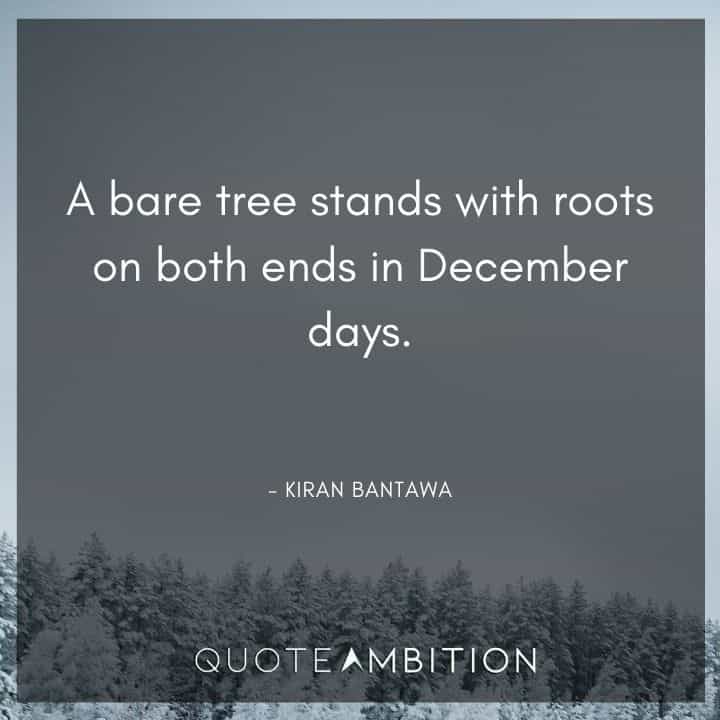 December Quotes - A bare tree stands with roots on both ends in December days.