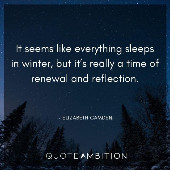 December Quotes - It seems like everything sleeps in winter, but it's really a time of renewal and reflection.