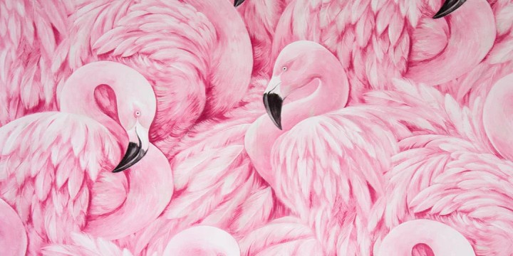 90 Flamingo Quotes to Help You Stand On Your Own Feet